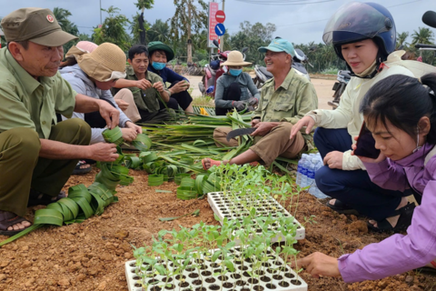 Phường Hoài Thanh Tây đẩy mạnh thực hiện phong trào sáng - xanh - sạch -đẹp - an toàn - văn minh trên các tuyến đường